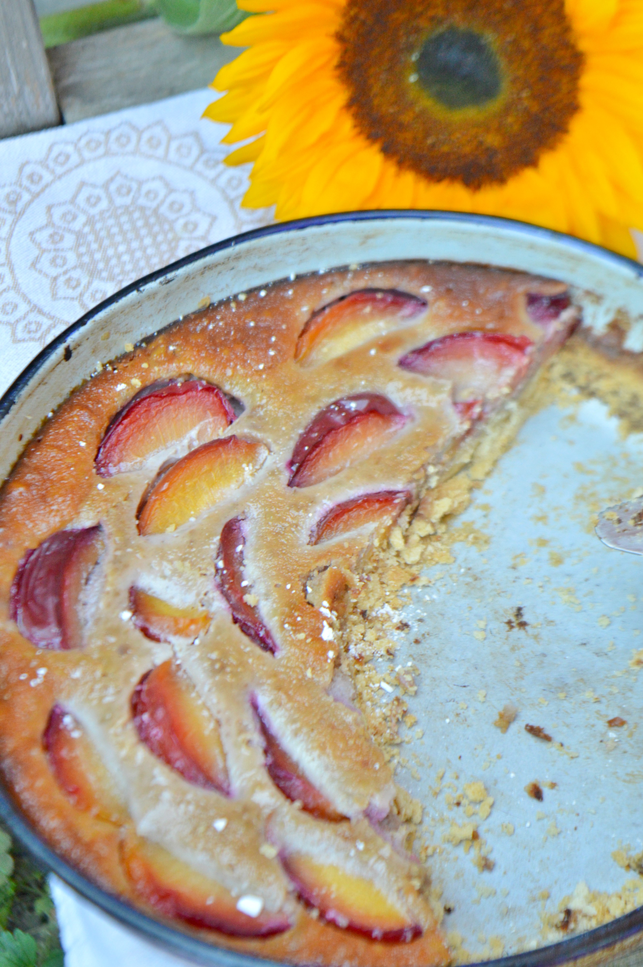 Plum Walnut Cake