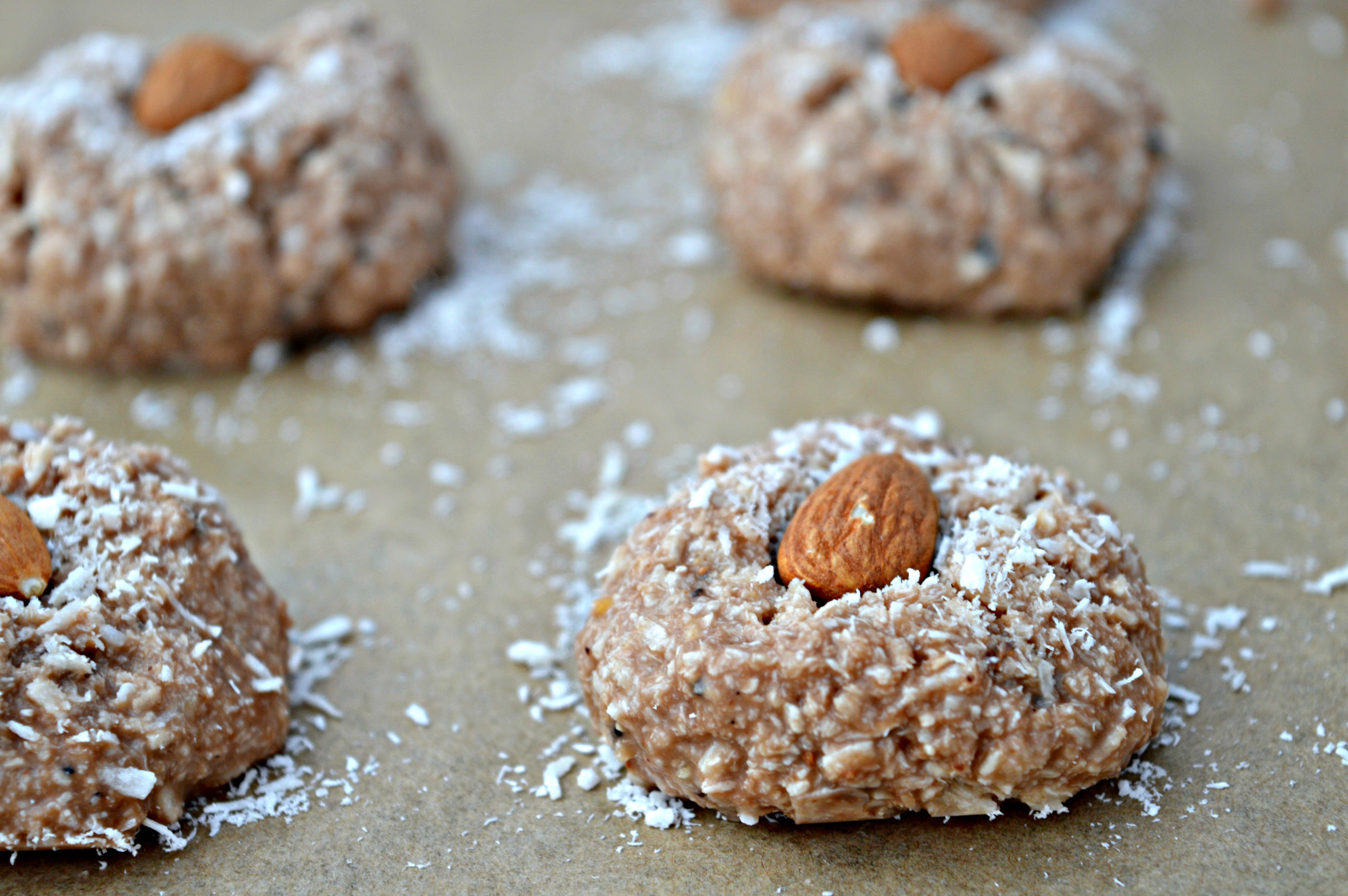 No Bake Coconut Milk Chocolate Sweets