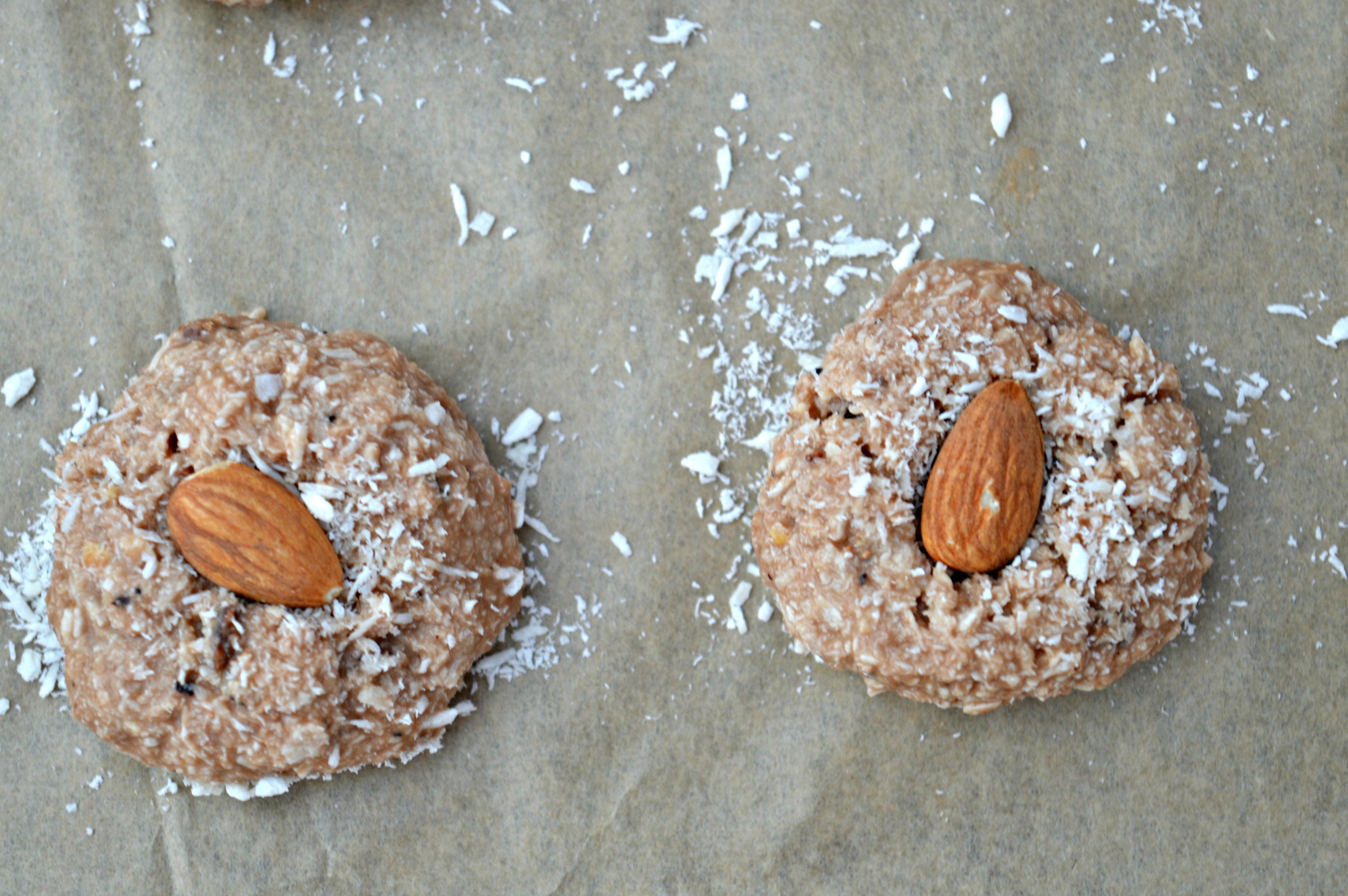 No Bake Coconut Milk Chocolate Sweets