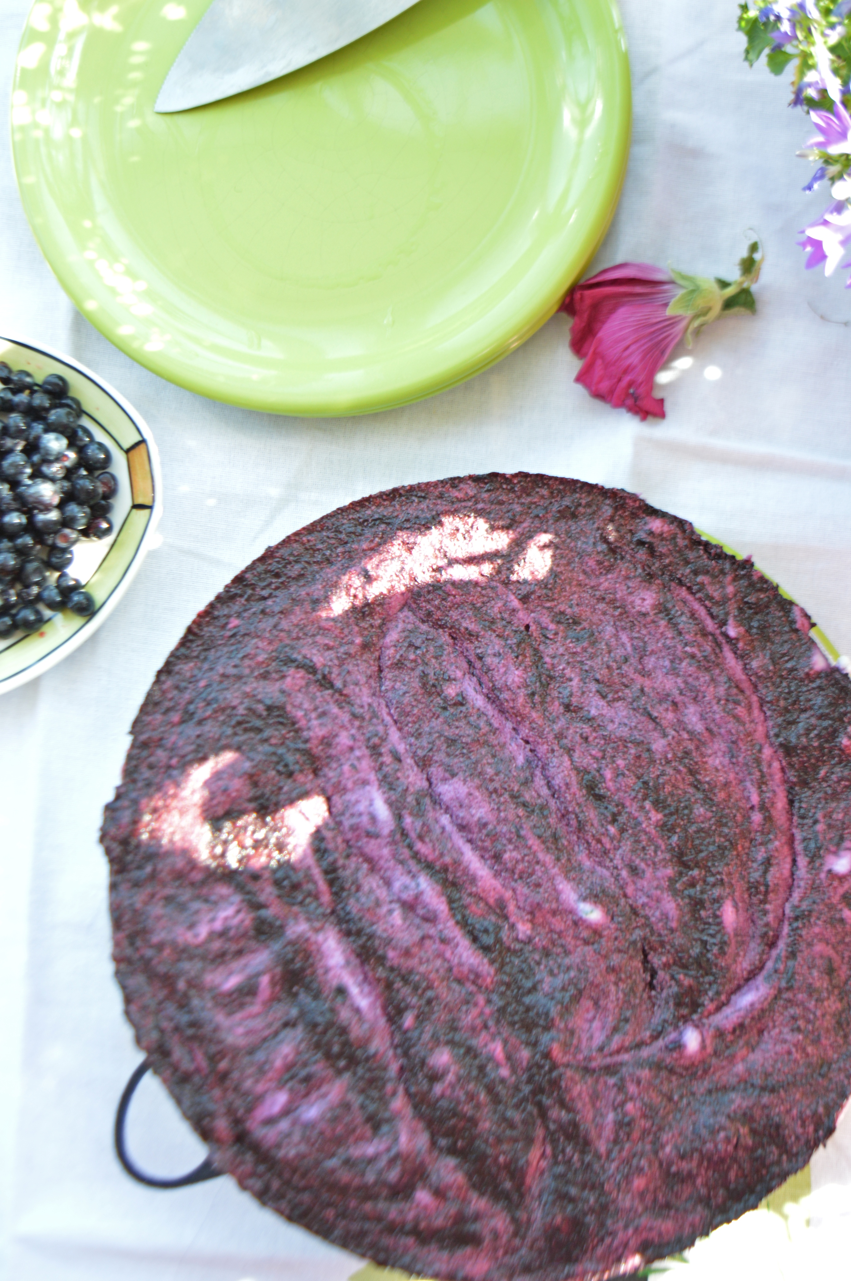 No Bake Aronia Berry Cheesecake