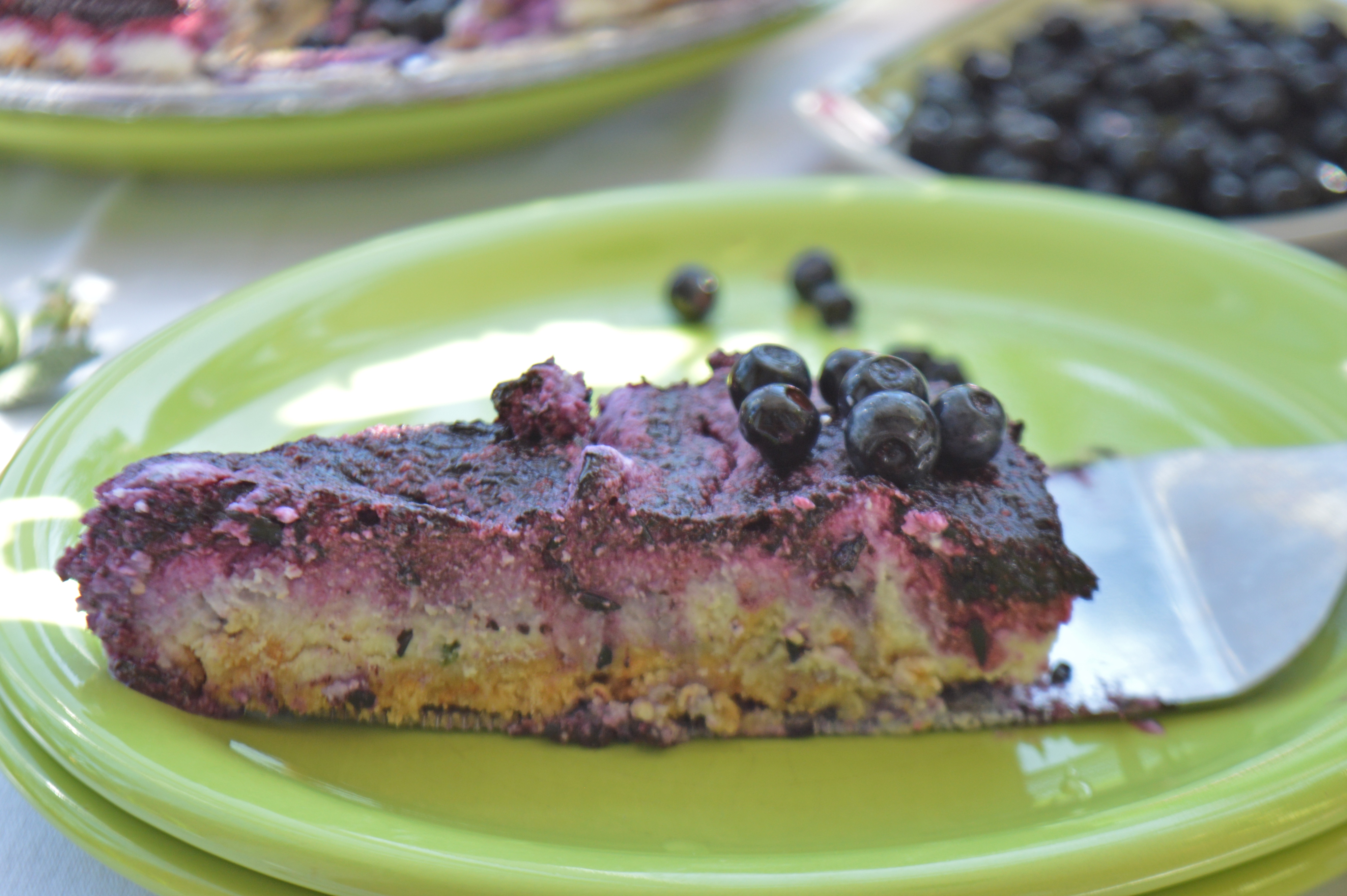 No Bake Aronia Berry Cheesecake