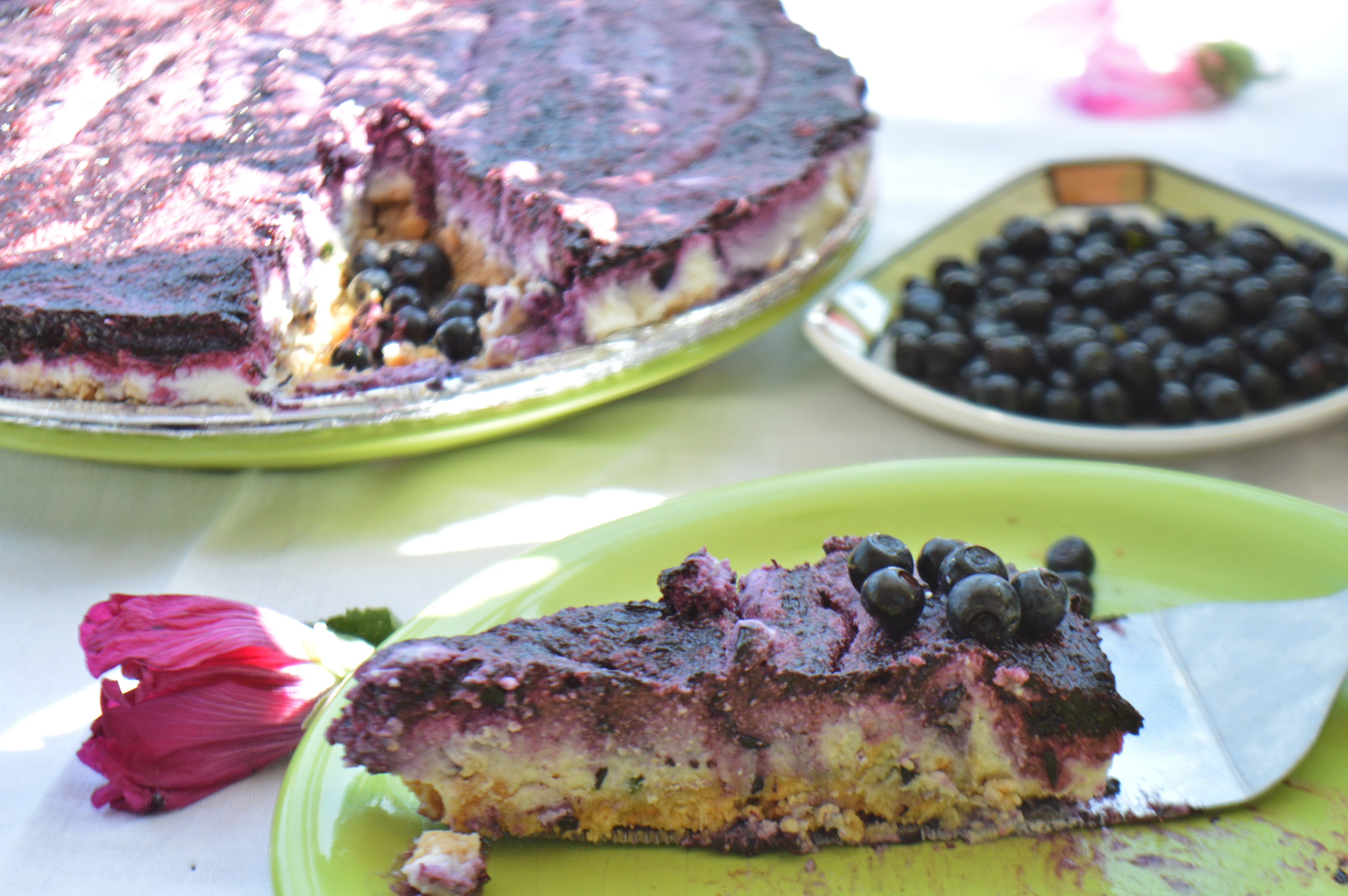 No Bake Aronia Berry Cheesecake