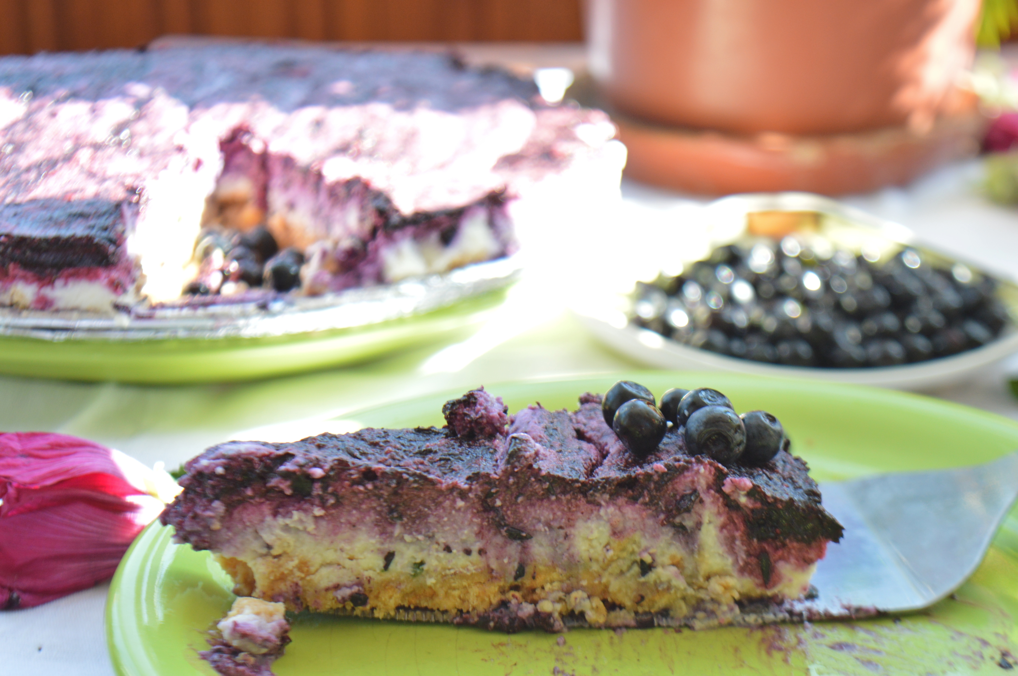 No Bake Aronia Berry Cheesecake
