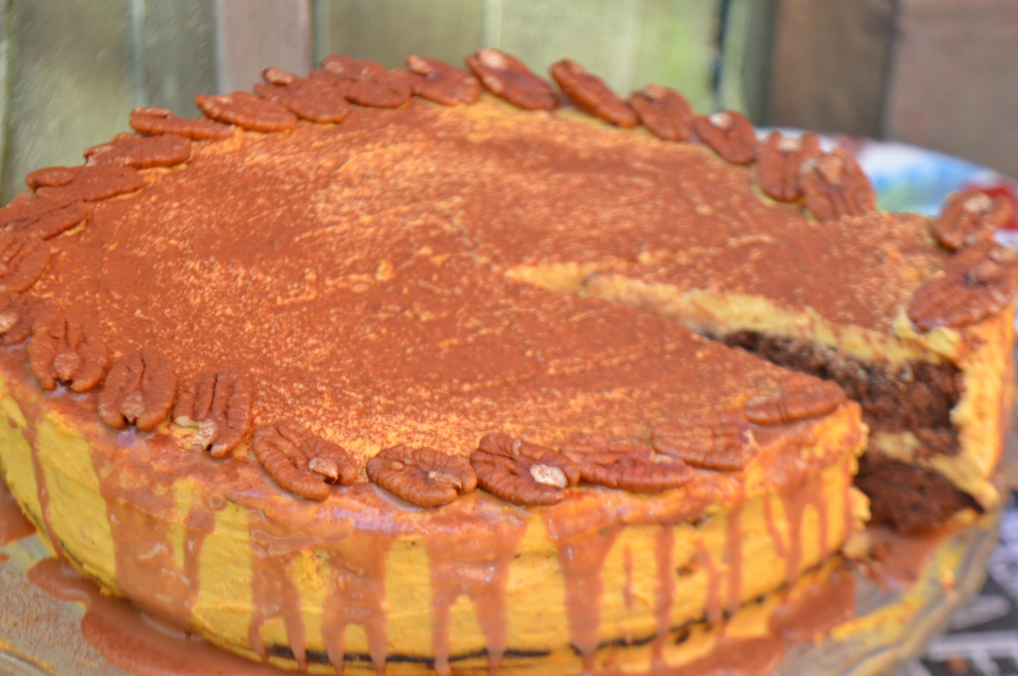 Pumpkin Chocolate Cake with Pecans