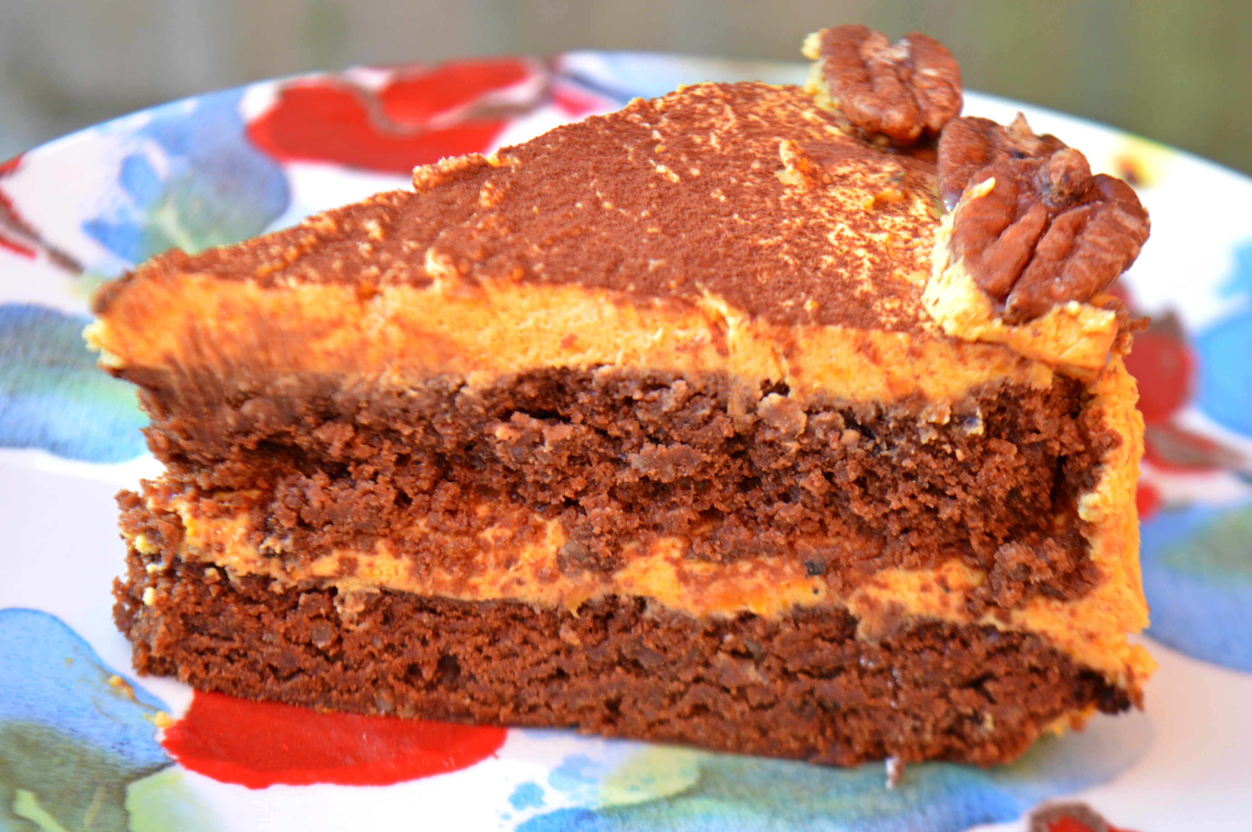 Pumpkin Chocolate Cake with Pecans