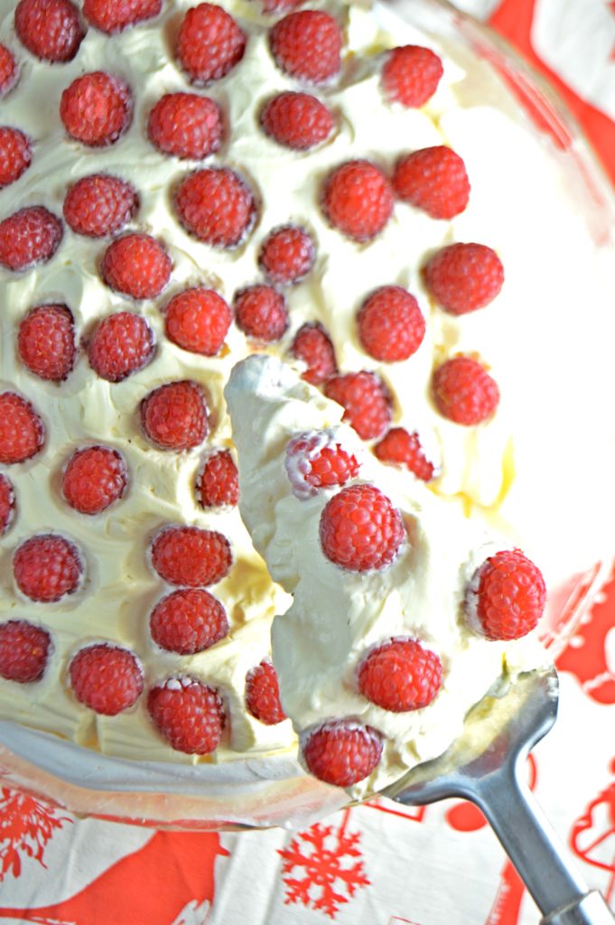 Raspberry White Chocolate Pavlova