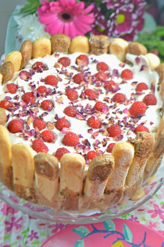 Raspberry Chocolate Charlotte Cake