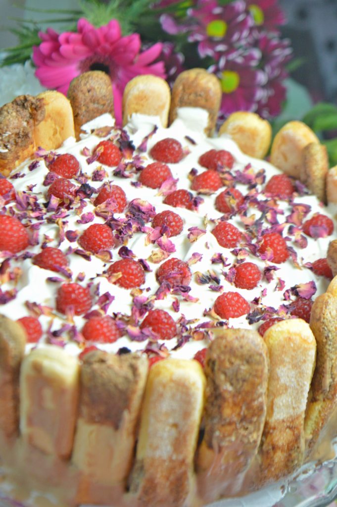 Raspberry Chocolate Charlotte Cake