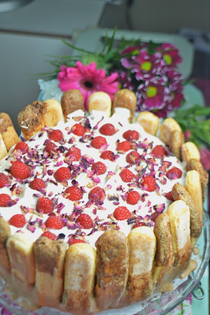 Raspberry Chocolate Charlotte Cake