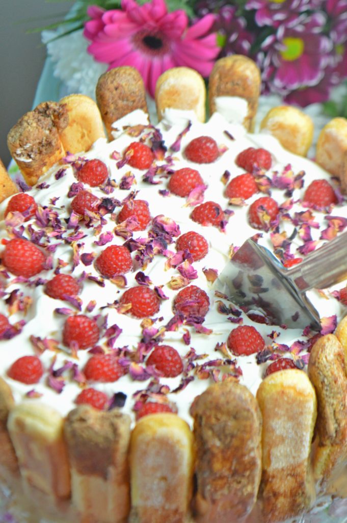 Raspberry Chocolate Charlotte Cake