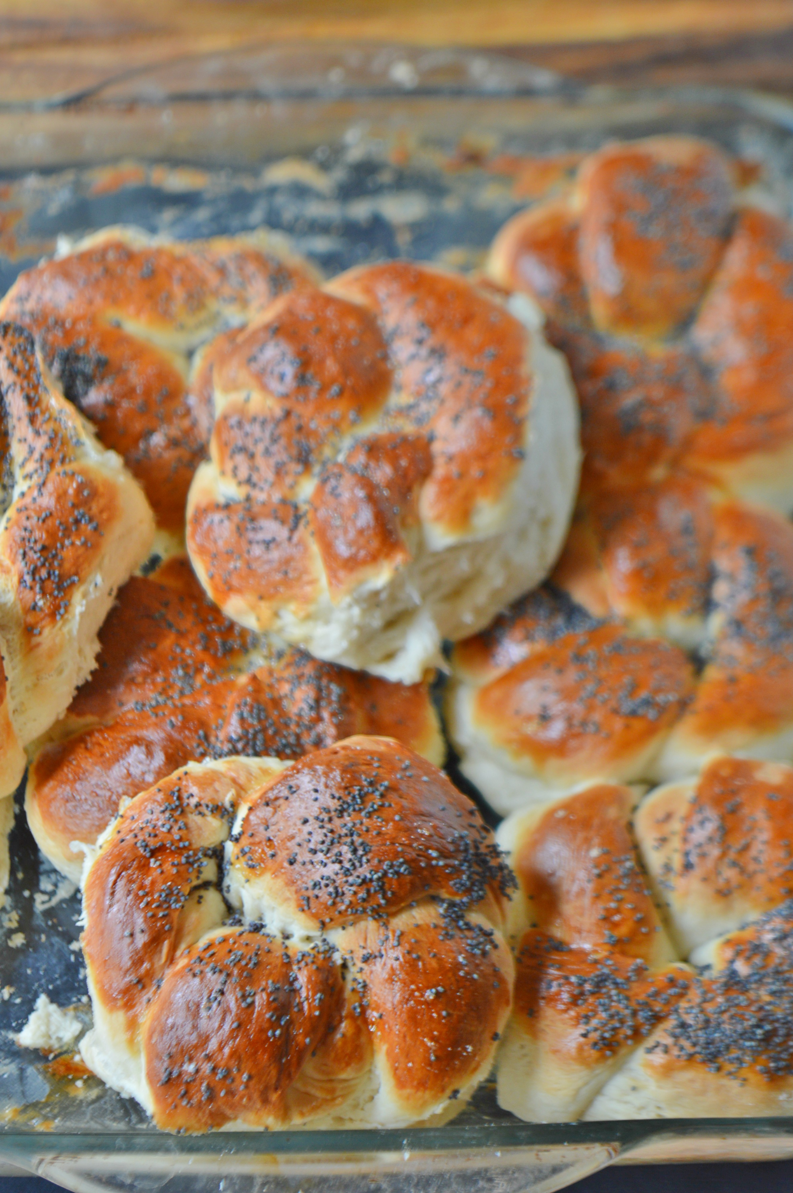 Poppy Seed Bread Knots