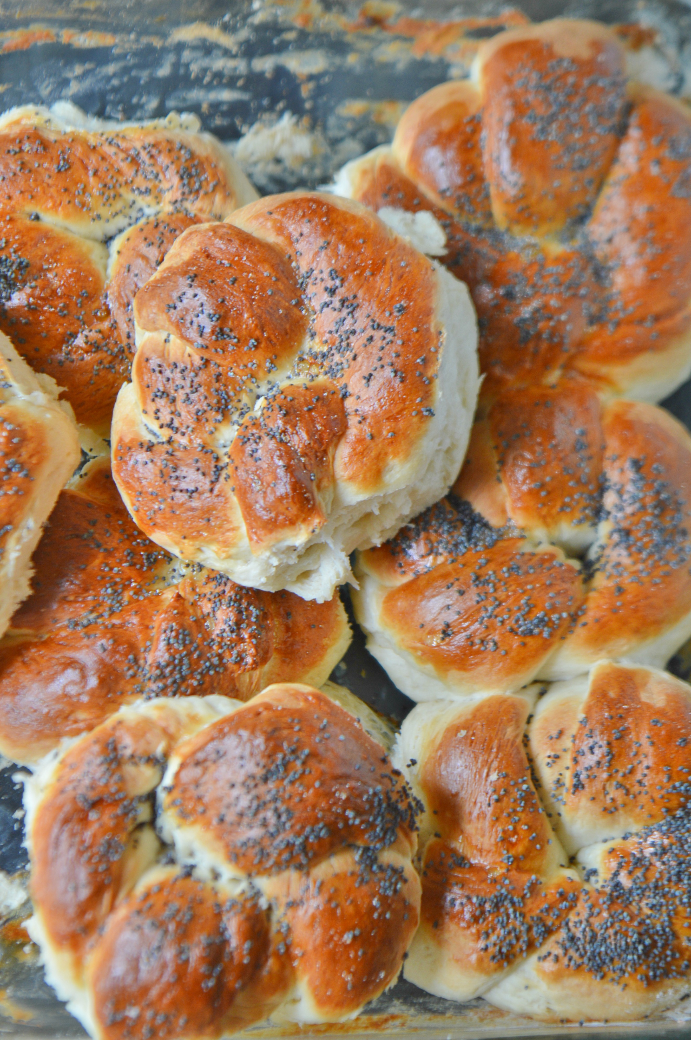 Poppy Seed Bread Knots
