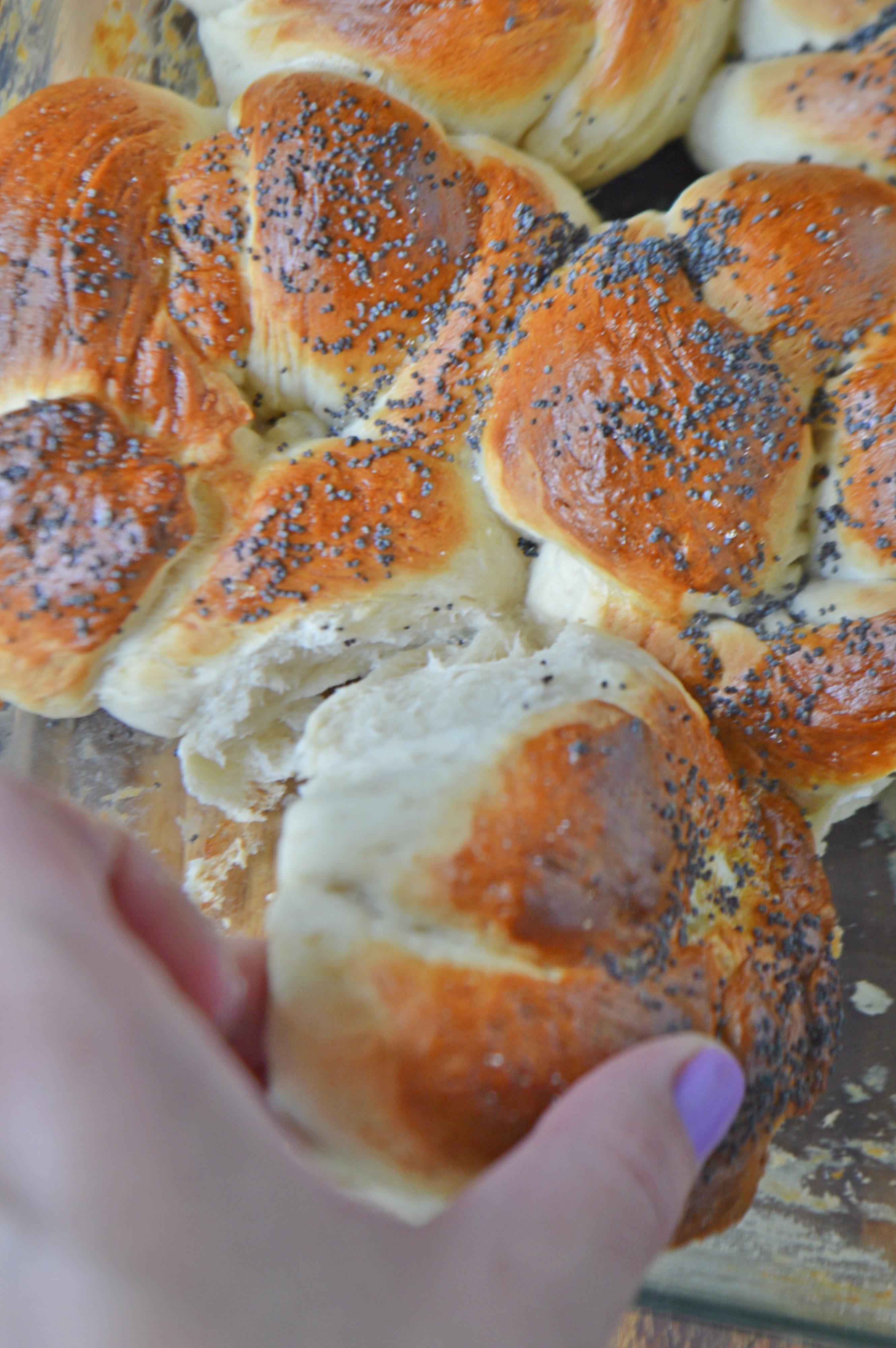Poppy Seed Bread Knots