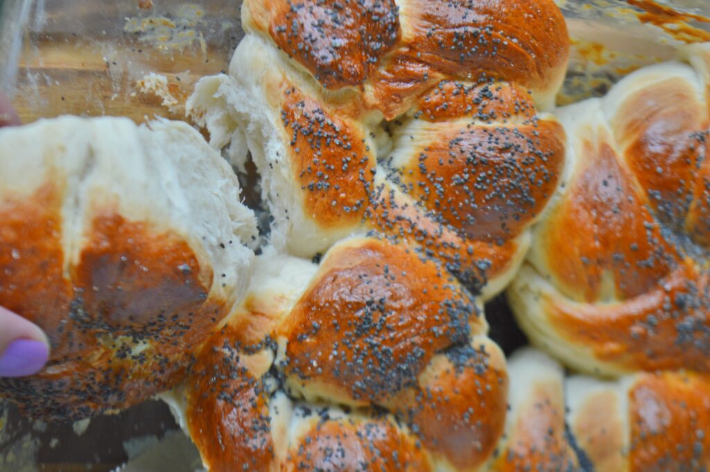 Poppy Seed Bred Knots