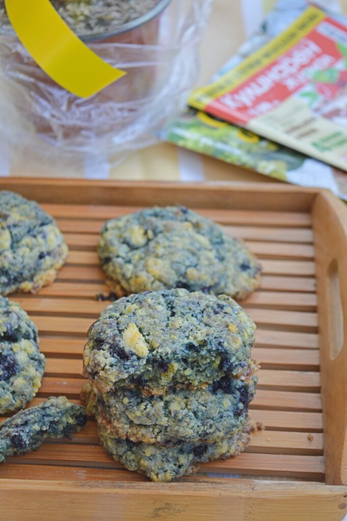 Blueberry Cookies