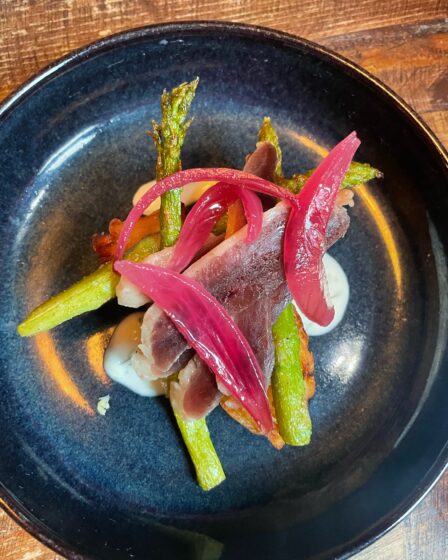 Duck ham