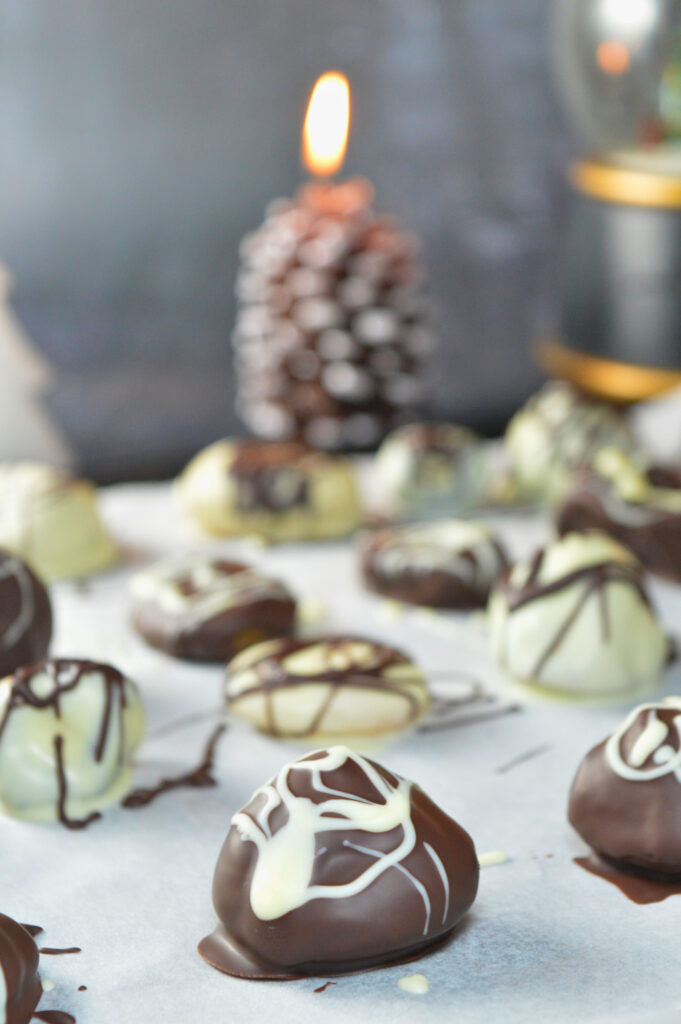Chocolate Dipped Dried Fruit